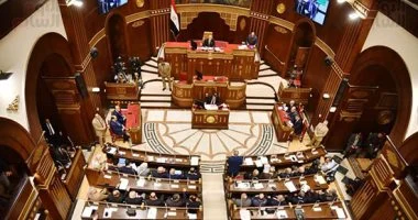 عضو مجلس الشيوخ يُثمن قرار رئيس بزيادة المعاشات
