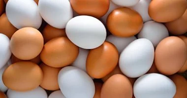 سعر طبق البيض بالقليوبية اليوم الأحد 28 – 6 - 2026.. الأبيض بـ88 جنيها
