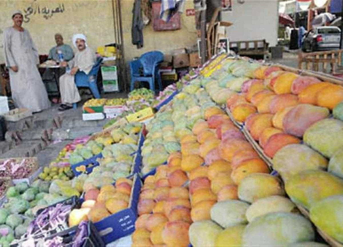 قائمة أسعار المانجو في سوق العبور اليوم الخميس